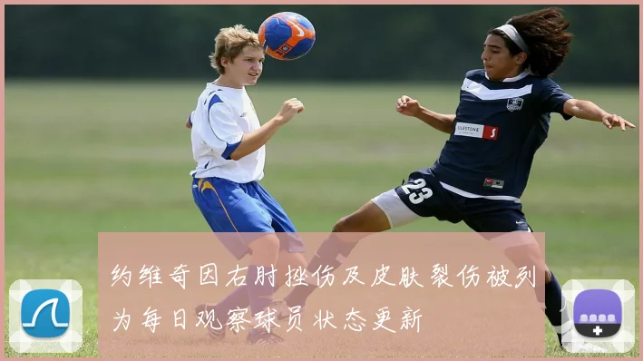 约维奇因右肘挫伤及皮肤裂伤被列为每日观察球员状态更新