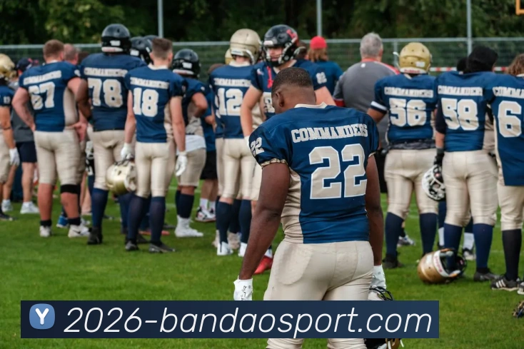 App Interface Preview